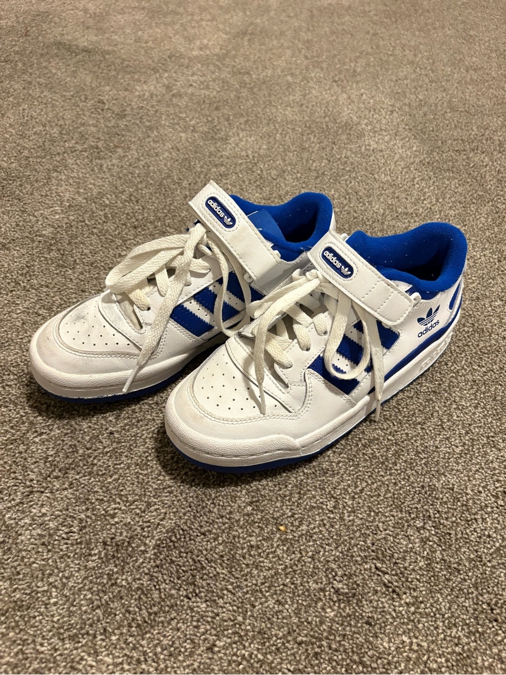 Adidas Forum Low White & Royal Blue Sneakers